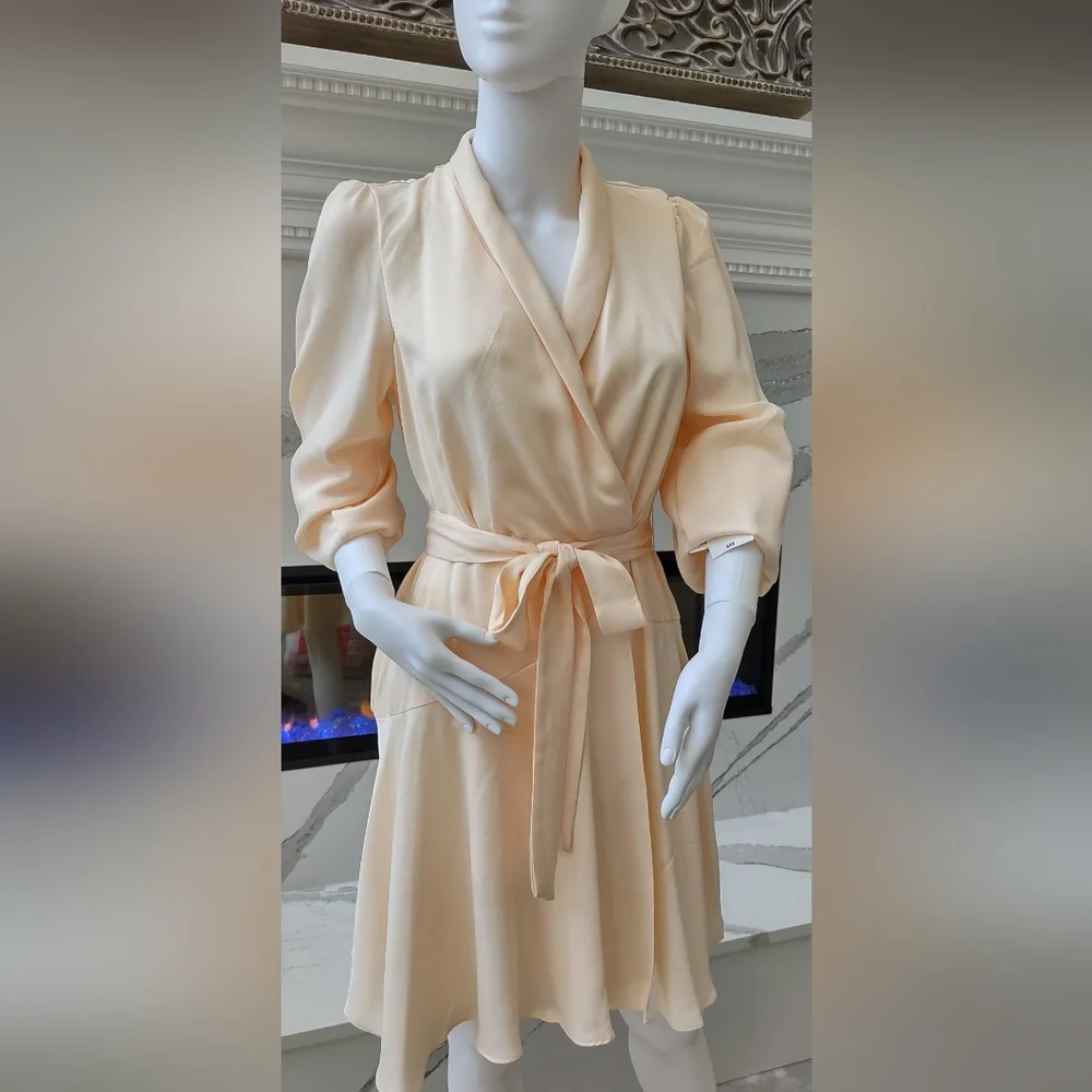 NWT - Melanie T Fitted Sleeve Long Sleeve Fit + Flare Dress - Sizes 4 and 12 - Picture 1 of 2